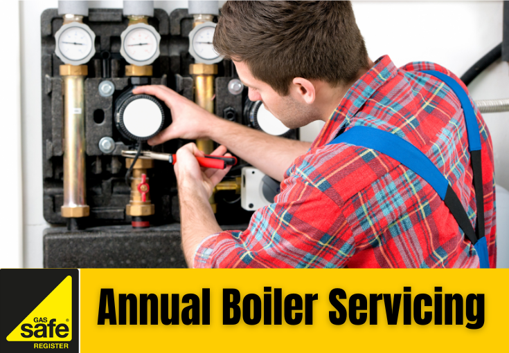 annual boiler servicing Dover